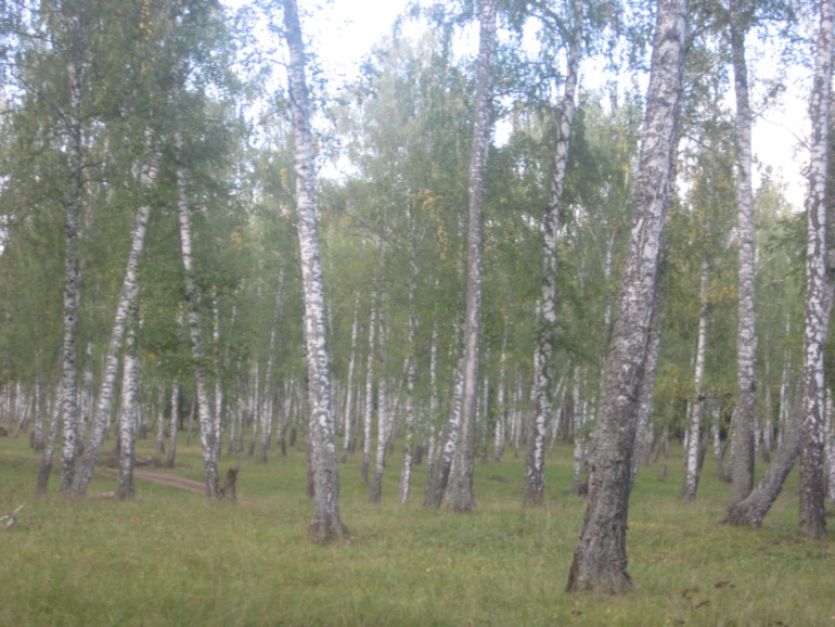 Наши выходны на природе