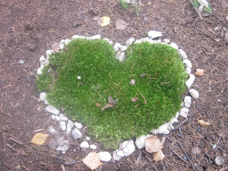 Наши выходны на природе