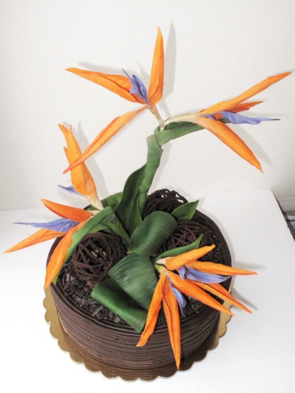 Стрелиция Королевская