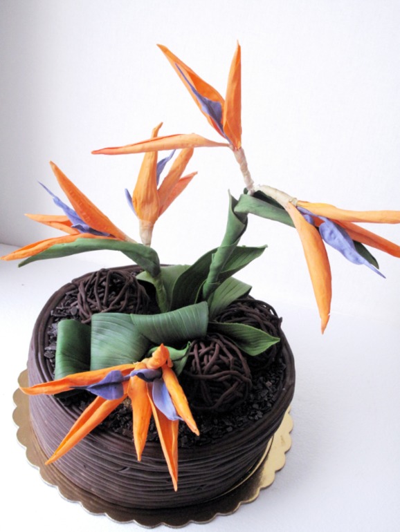 Стрелиция Королевская