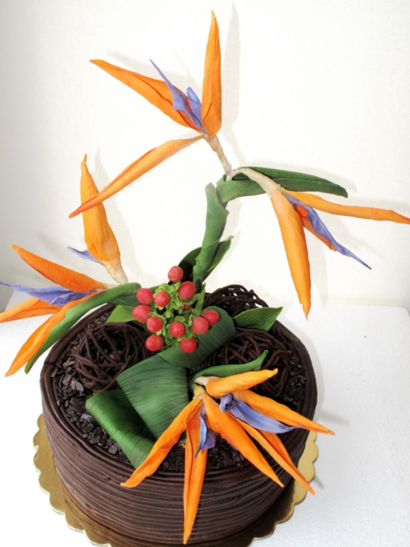 Стрелиция Королевская