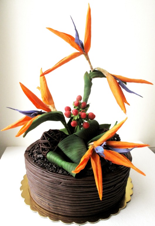 Стрелиция Королевская