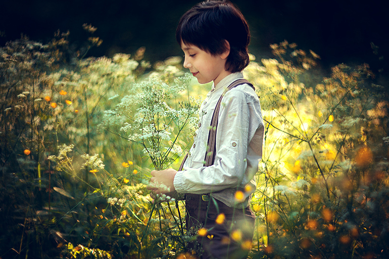 Летний вечер