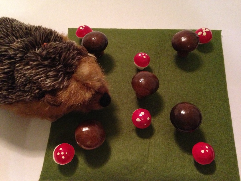 Грибная полянка.