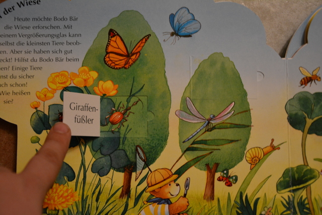 Михаил Бодо