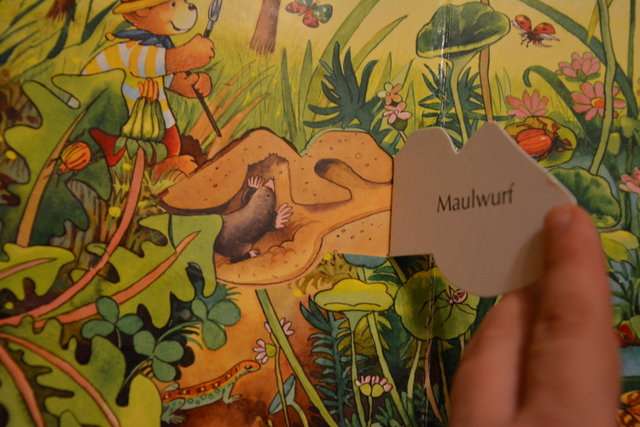 Михаил Бодо