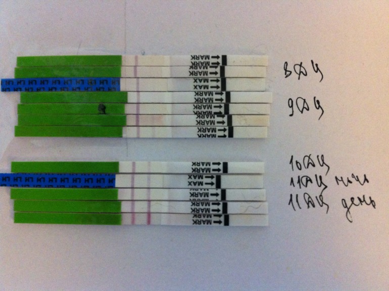 Тест на беременность на 14 день цикла. Овуляция на 9. Тест на беременность после овуляции. Тест на овуляцию 15дц. Тест на овуляцию.