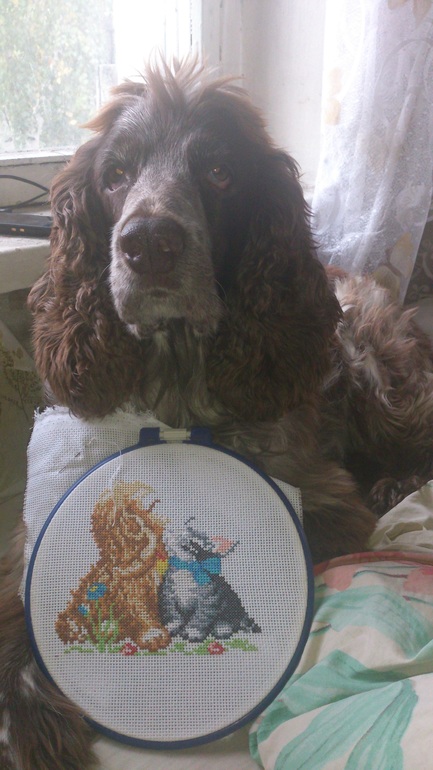 Моё богатство