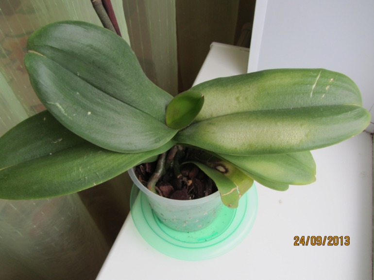 Ну вот...видимо все(((