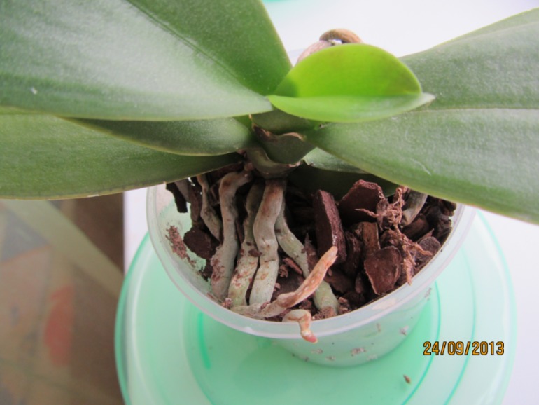 Ну вот...видимо все(((