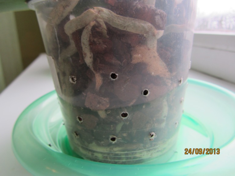 Ну вот...видимо все(((