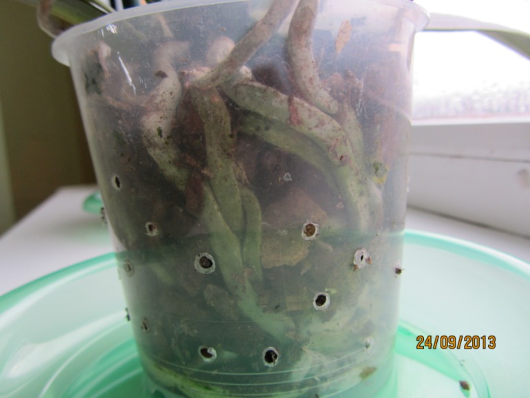 Ну вот...видимо все(((