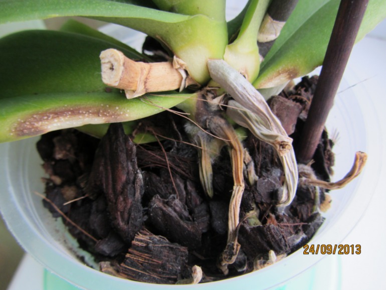 Ну вот...видимо все(((