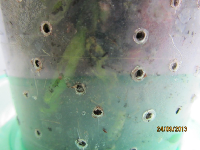 Ну вот...видимо все(((