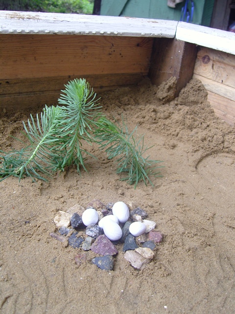 Дино-песочница