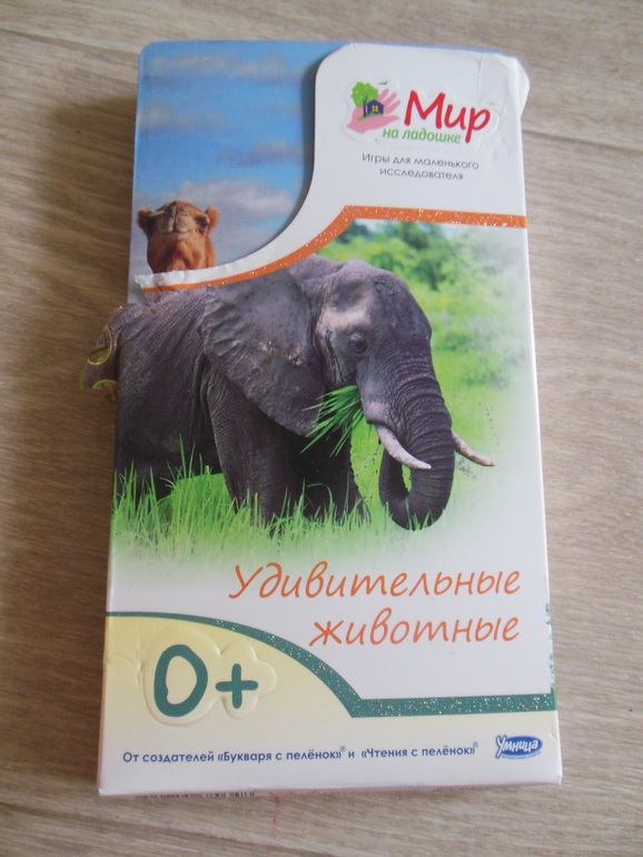 a928de18d0a341031b0c884085b866e8.jpg