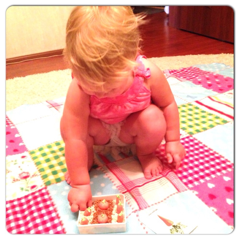 ТН Овощи.День второй.