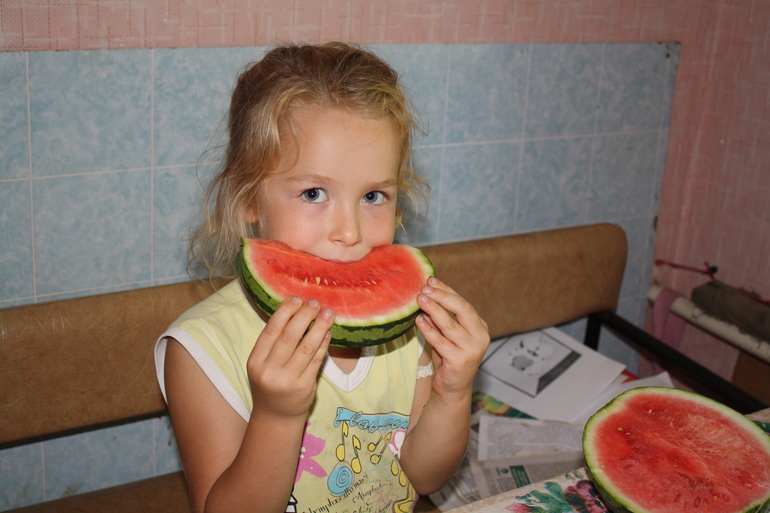 арбузы на даче