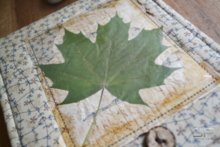 Альбом для гербария, Кленовый