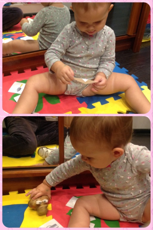 Тн "Овощи" д1