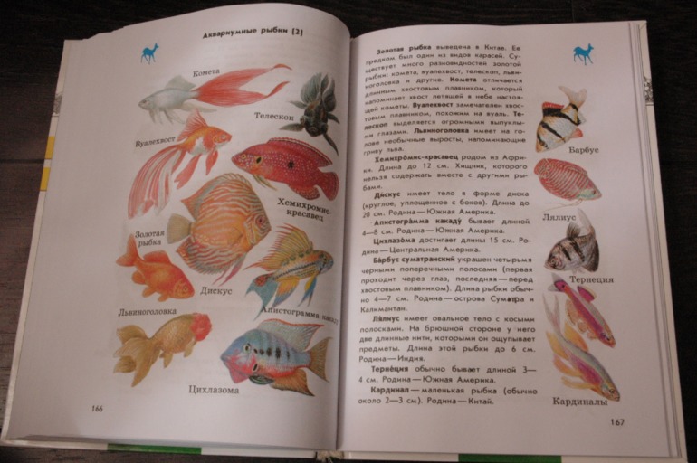 Летние книги часть 1