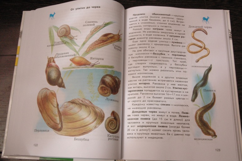 Летние книги часть 1