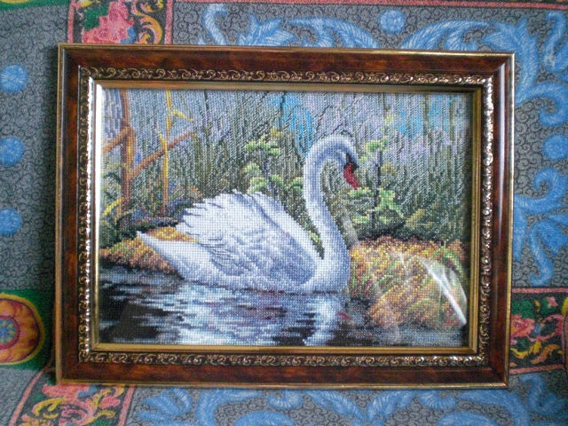 Белый лебедь