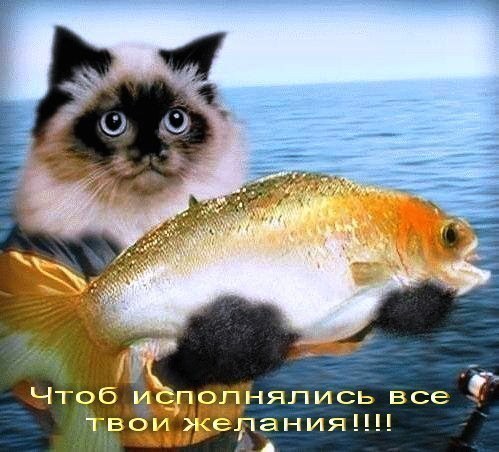 a5fed9f2fa264a921b69dfa3e69eca7b.jpg