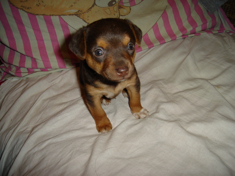 Мое маленькое чудо)))