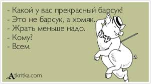 6deba3e59f97daab88469101f402c4e6.jpg