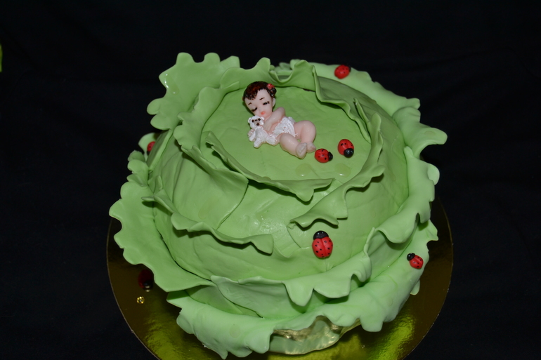 Капуста с малышкой