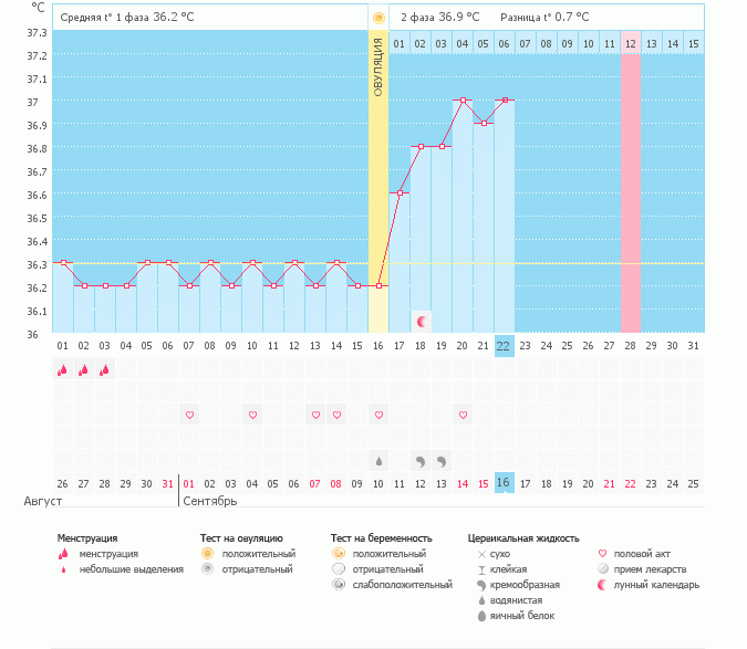 Девочки, что скажете?