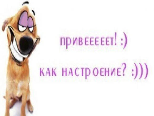 9f552aafb169d0e52b6023bd7b5c58bc.png