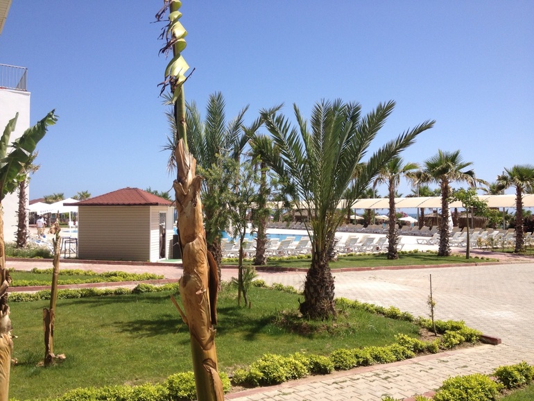 Soho Beach Club Турция/Белек