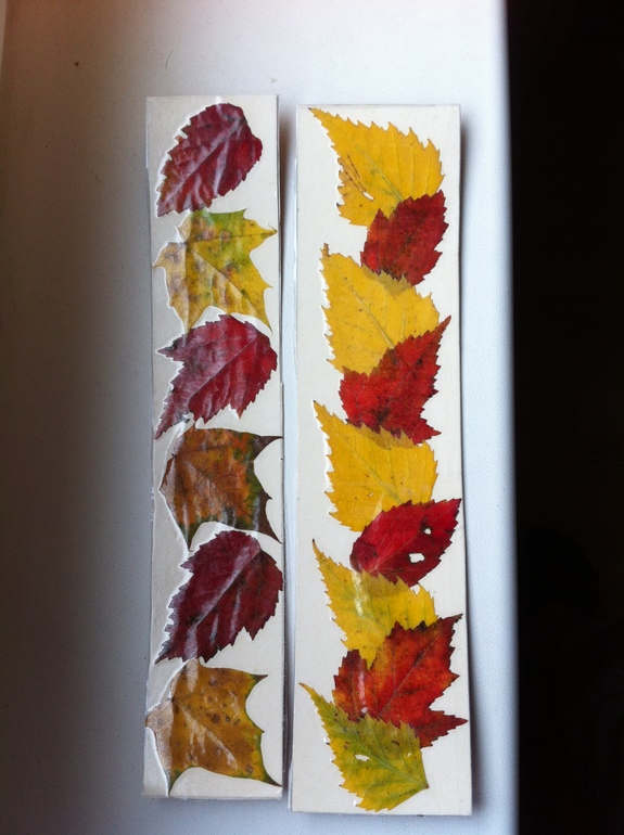 завтра в сад