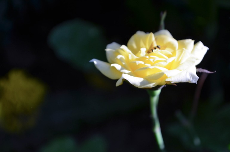 1eba891a716f453c03bdeafcb1dcbed9.jpg