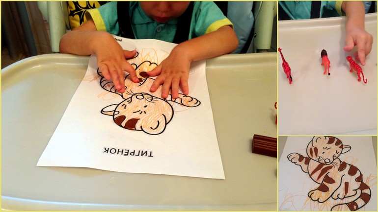 Изучаем животных теплых стран-один из вариантов