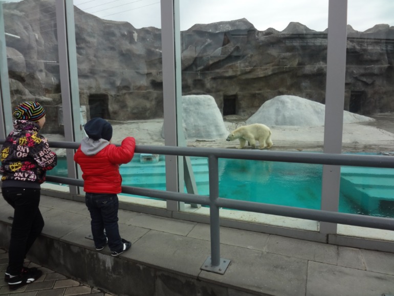 Наш любимый зоопарк.