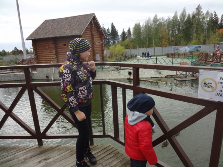 Наш любимый зоопарк.