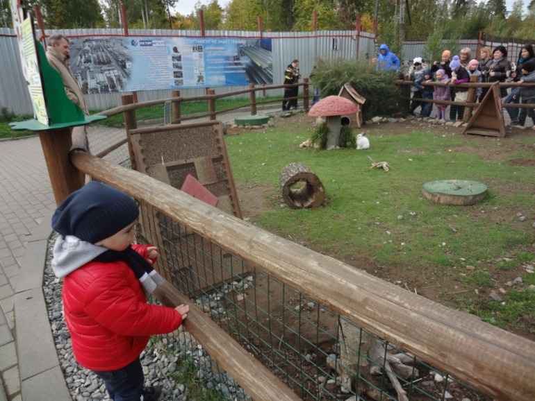 Наш любимый зоопарк.