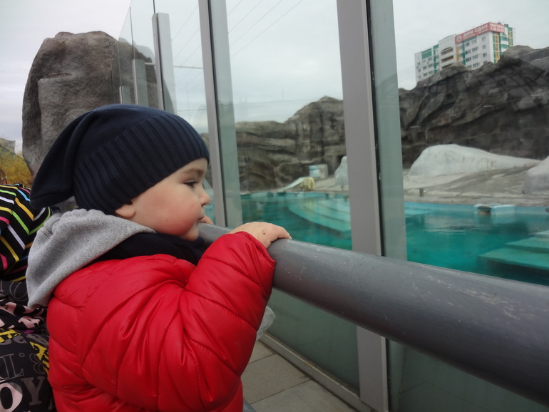 Наш любимый зоопарк.