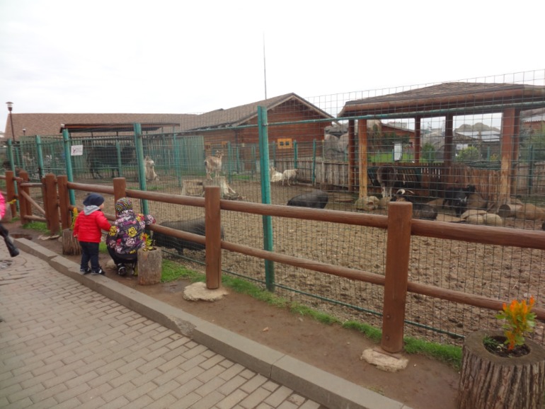 Наш любимый зоопарк.