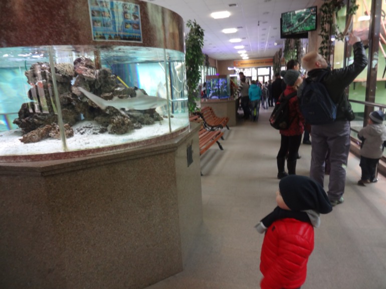 Наш любимый зоопарк.