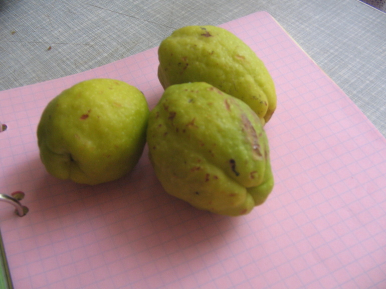 Что это за...