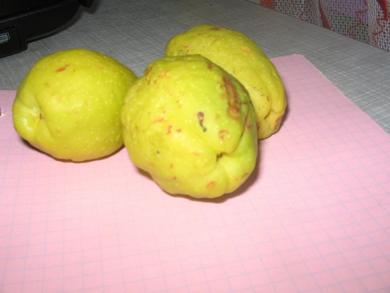 Что это за...