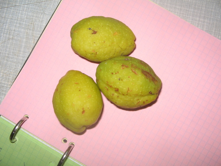 Что это за...