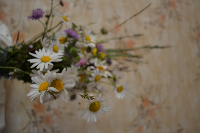 Тоже хочу учиться )))