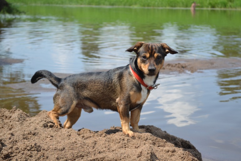 Тоже хочу учиться )))