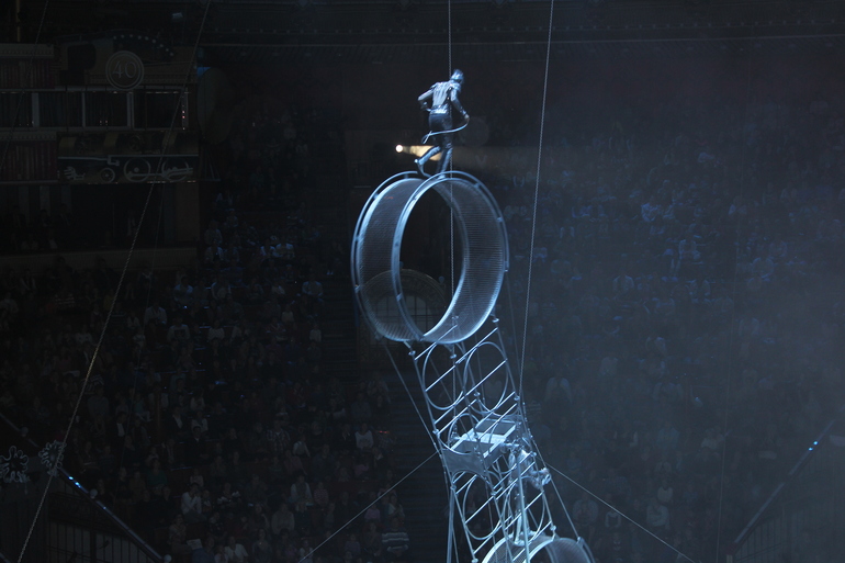 Цирк,цирк,цирк!!!