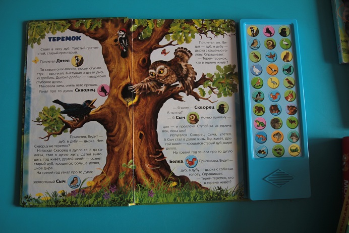 Наши книжки игрушки для самых маленьких